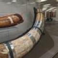 Mastodon tusk on display